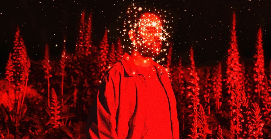 theodore_live_a_cold_summer